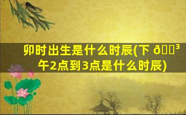 卯时出生是什么时辰(下 🐳 午2点到3点是什么时辰)